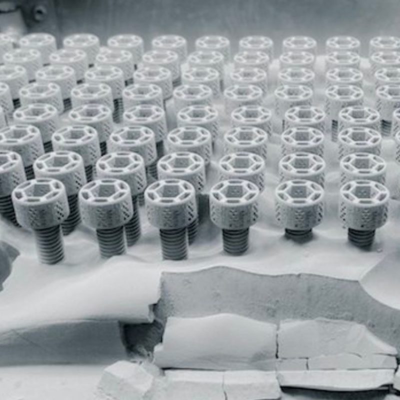 3d-printed bone scaffolds arranged neatly on a platform, emphasizing the structure and repetitive pattern.