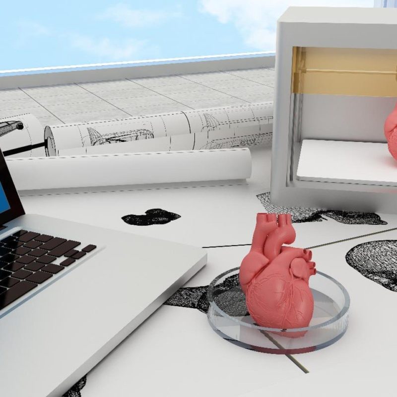 3d-printed metal human organs, including a heart and lungs, displayed beside a laptop showing their digital blueprints in a lab setting.