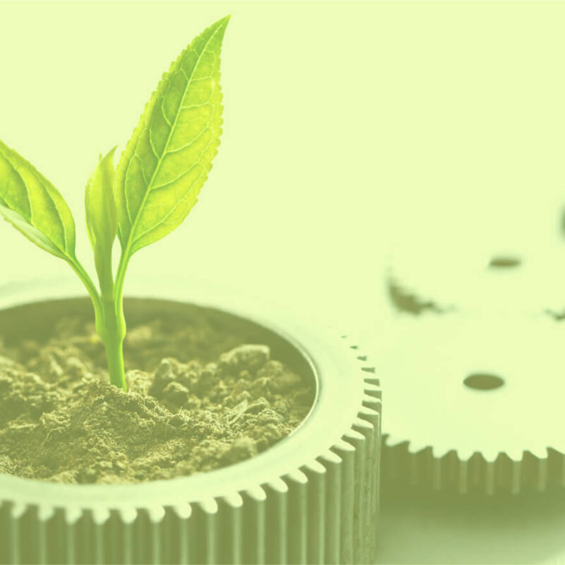 A small plant grows in soil placed inside a metallic gear, with additional gear components in the background.
